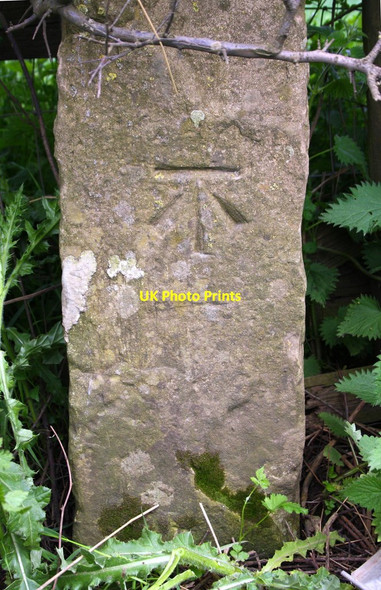 Photo 6"x4" Benchmark on gatepost near Cox Pasture Farm East Hauxwell c2016
