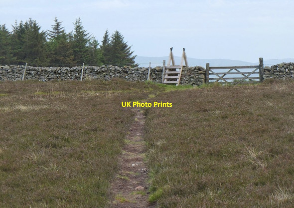 Photo 6"x4" Gate and stile to Glack Hope Stobo c2016