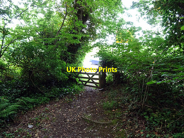 Photo 6"x4" On the Wales Coastal Path Tre'r-dd\u00f4l\/SN6692 c2016