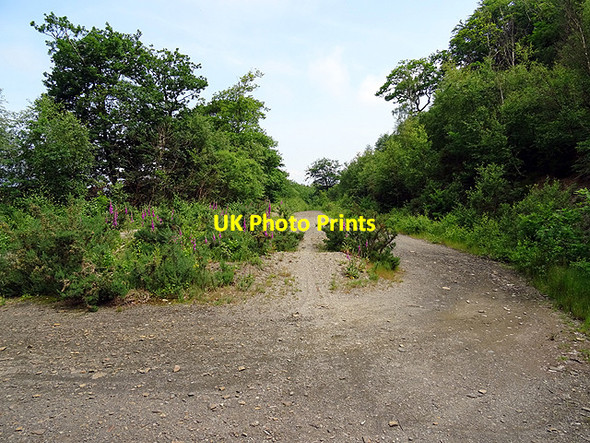Photo 6"x4" The Wales Coastal Path joins a forestry road Tre'r-dd\u00f4l\/SN6692 c2016