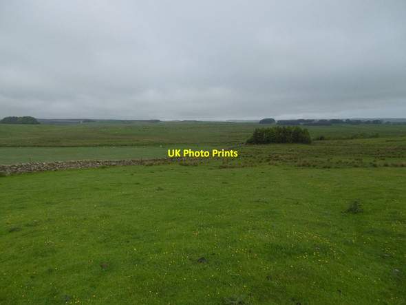 Photo 6"x4" North of Whitehill Knowesgate c2016