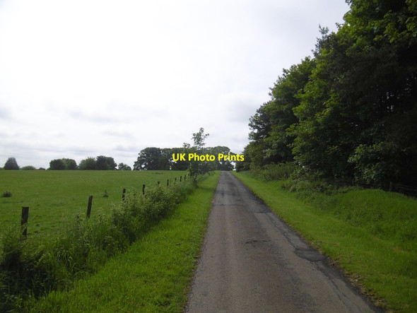 Photo 6"x4" Road to Elf Hills Cambo\/NZ0285 c2016