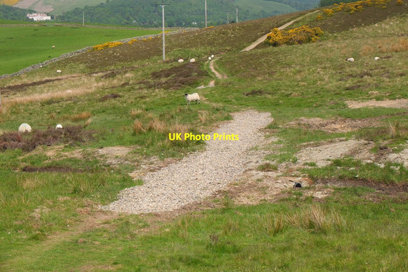 Photo 6"x4" Path drainage, John Buchan Way Peebles\/NT2540 c2016