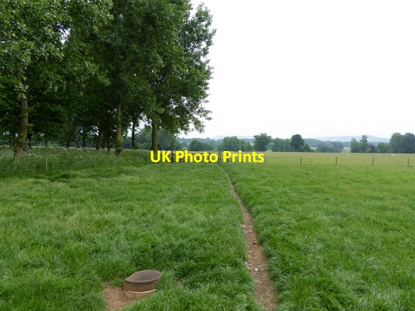 Photo 6"x4" Footpath in Bowood Park Buck Hill\/ST9770 c2016