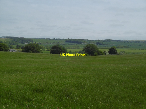 Photo 6"x4" Field, Middleton Bolam West Houses c2016