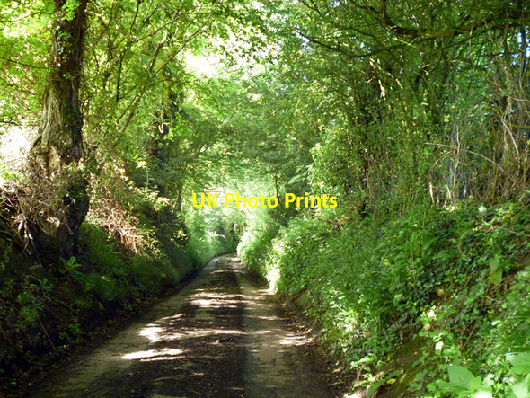 Photo 6"x4" Runham Lane Liverton Street c2016