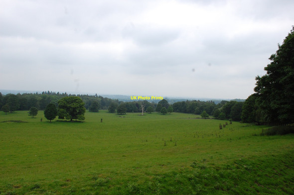 Photo 6"x4" Parkland at Chirk Castle Bronygarth c2016