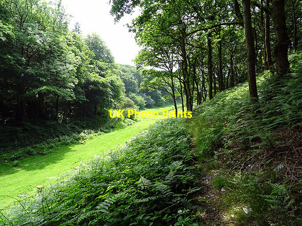 Photo 6"x4" The Wales Coastal Path through Coed y Garth Coed y Garth c2016