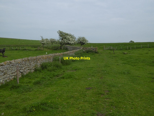 Photo 6"x4" Field and dyke, Black Heddon Black Heddon\/NZ0776 c2016