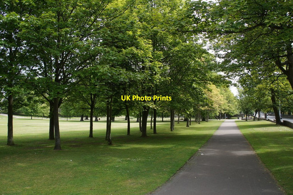 Photo 6"x4" Westburn Park, Aberdeen Aberdeen\/NJ9206 c2016