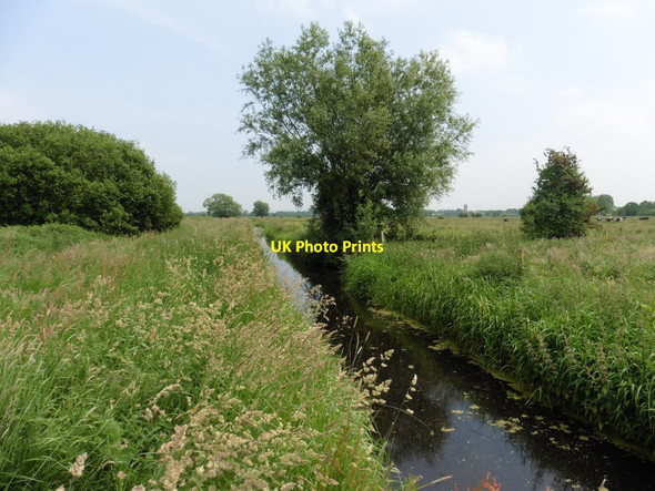 Photo 6"x4" Hitchings Rhyne Bankland c2016