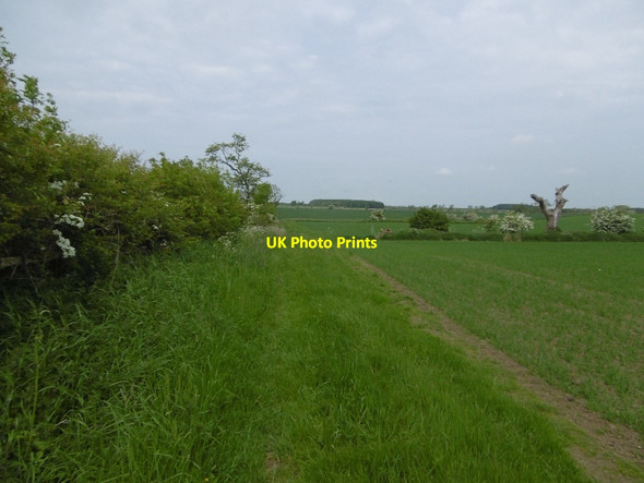 Photo 6"x4" Field edge near Fenwick Fenwick\/NZ0572 c2016