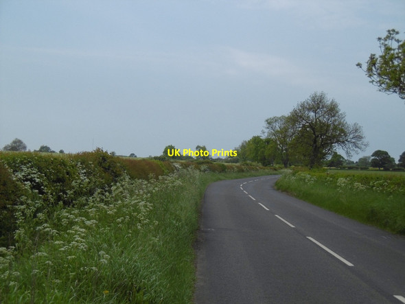 Photo 6"x4" Stamfordham to Matfen road Fenwick\/NZ0572 c2016