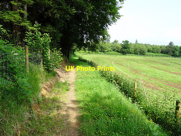 Photo 6"x4" Wales Coastal Path around Wenffrwd Farm Tre'r-dd\u00f4l\/SN6692 c2016