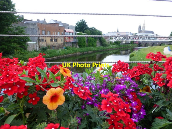 Photo 6"x4" Floral display, Omagh Omagh c2016