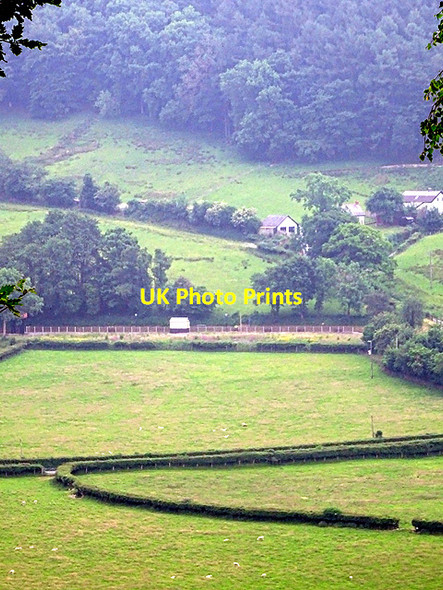 Photo 6"x4" Nantyronen Station, Vale of Rheidol Railway Nantyronen Station c2016