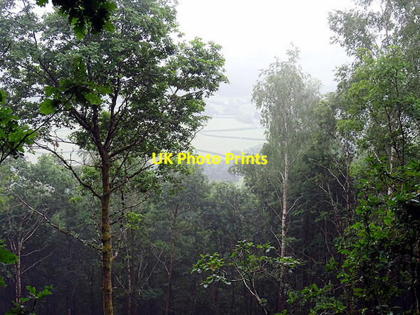 Photo 6"x4" A view out from Pant Da Woods Nantyronen Station c2016