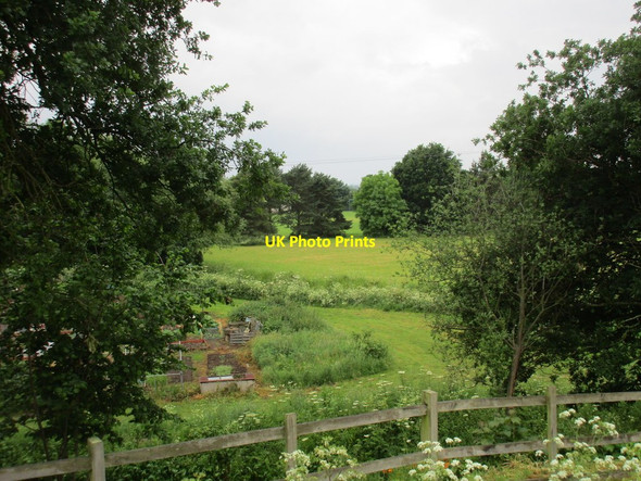 Photo 6"x4" Allotments and fields, Winthorpe Winthorpe\/SK8156 c2016