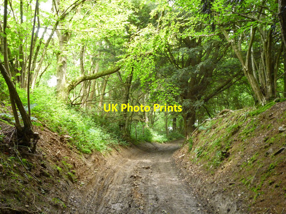Photo 6"x4" Public byway up North Downs Hollingbourne c2016