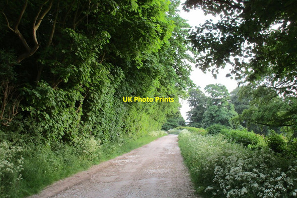 Photo 6"x4" The Viking Way entering South Ferriby South Ferriby c2016