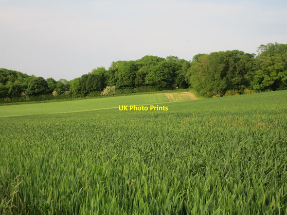 Photo 6"x4" View towards Fox Covert South Ferriby c2016