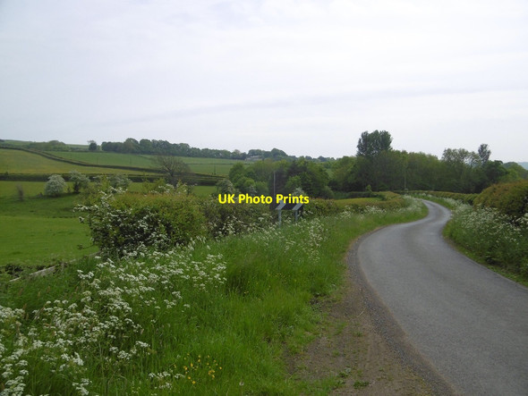 Photo 6"x4" Yellow road, Hallington Hallington\/NY9875 c2016