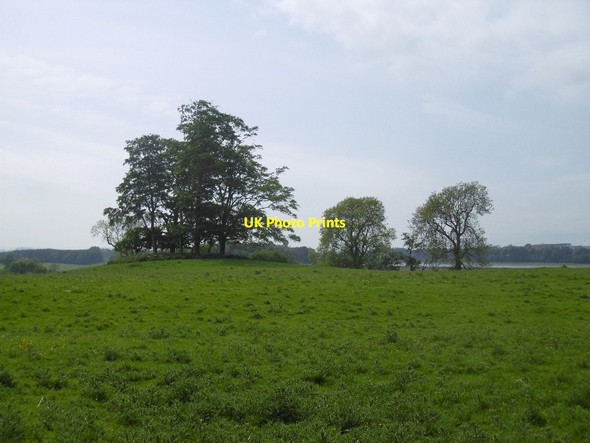 Photo 6"x4" Tumulus, Hallington Hallington\/NY9875 c2016