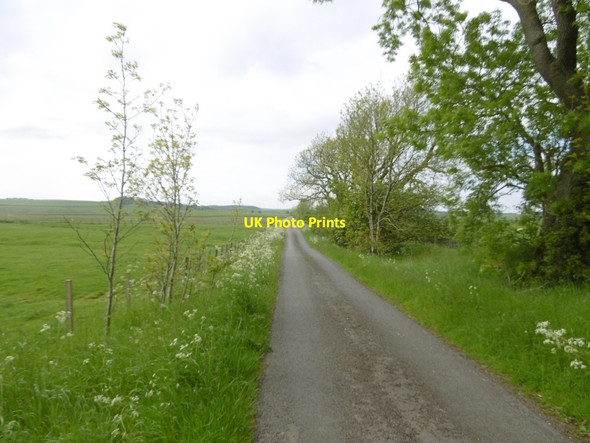 Photo 6"x4" Road to Thockrington Thockrington c2016