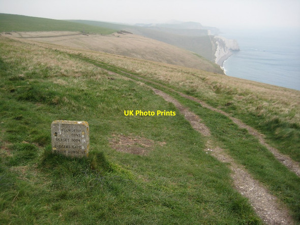 Photo 6"x4" Coast path above West Bottom Chaldon Herring or East Chaldon c2012