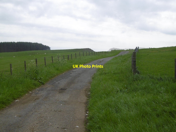 Photo 6"x4" Gated road, Thockrington Thockrington c2016