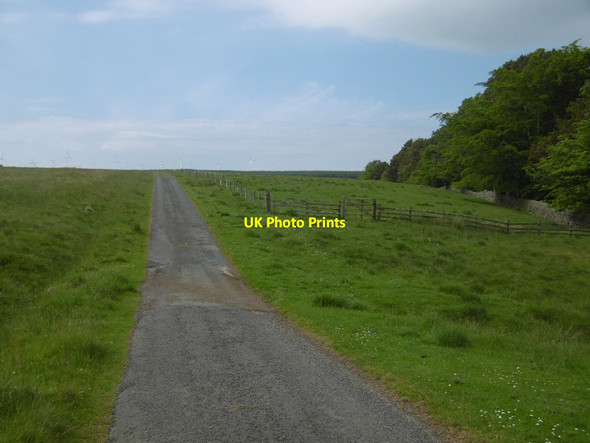 Photo 6"x4" Yellow road, Colt Craig Reservoir Thockrington c2016