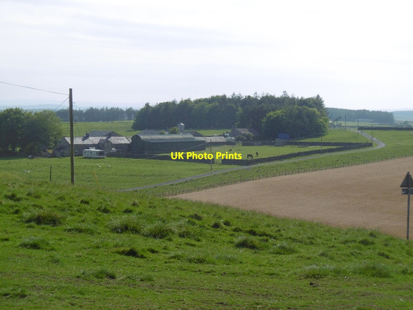 Photo 6"x4" North Heugh Thockrington c2016