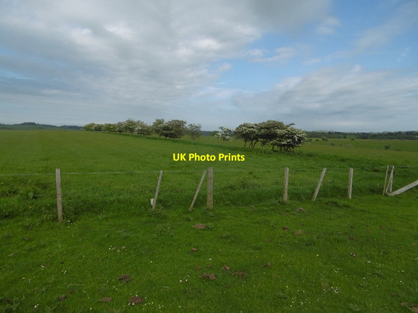 Photo 6"x4" The Shield Kirkwhelpington c2016