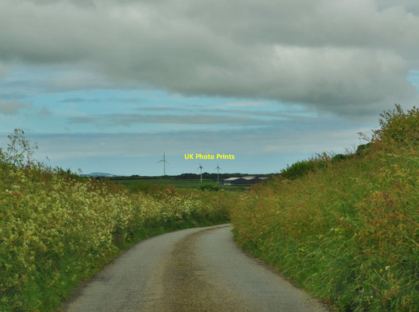 Photo 6"x4" A Lane Near Hayscastle Penyfeidr c2016