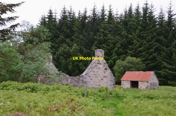 Photo 6"x4" Ruined house and barn above Kingussie Kingussie c2016