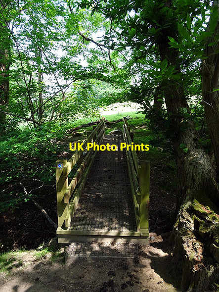 Photo 6"x4" Bridge on the Wales Coastal Path Coed y Garth c2016