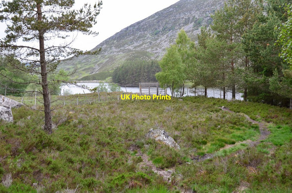 Photo 6"x4" Path to Loch Gynack Kingussie c2016