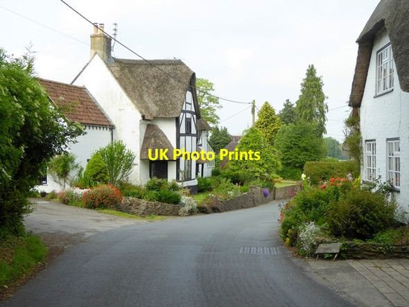 Photo 6"x4" Thatched cottages in Edington Edington\/ST9253 c2016