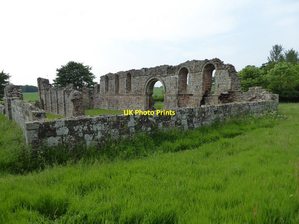 Photo 6"x4" White Ladies Priory Renshaw Wood c2016