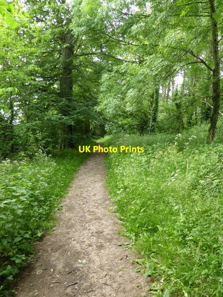 Photo 6"x4" The Monarch's Way, White Ladies Priory Renshaw Wood c2016
