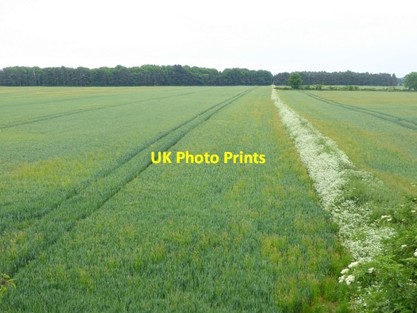 Photo 6"x4" Fields of wheat near Langley House Farm Balscote c2016