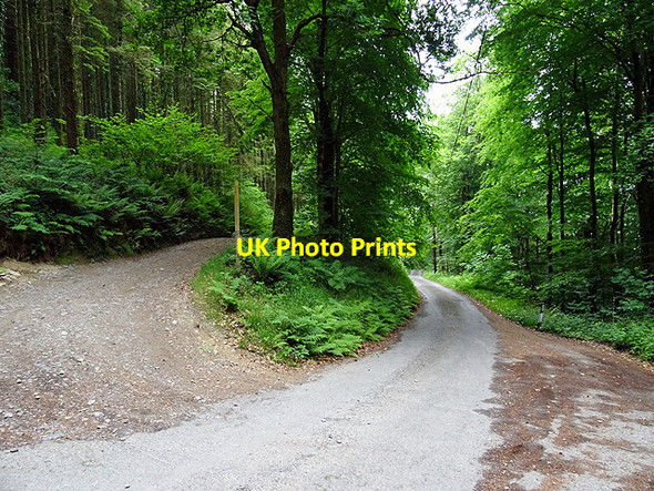 Photo 6"x4" Wales Coastal Path joins the Artist's Valley Road Coed y Garth c2016