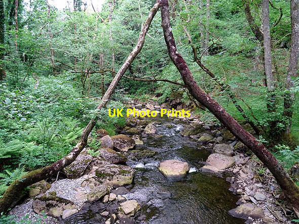 Photo 6"x4" Afon Einion Coed y Garth c2016