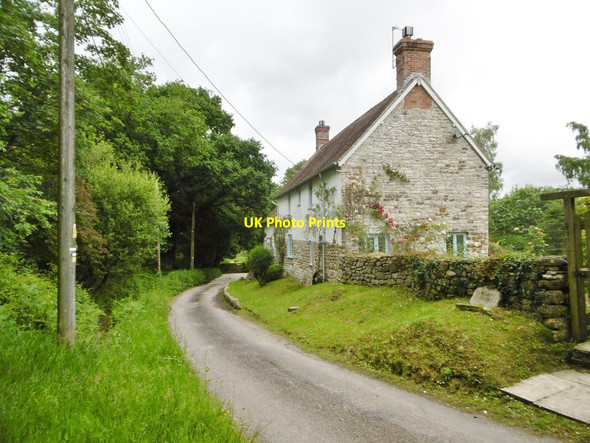 Photo 6"x4" Arne, Old Dairy House Arne c2016