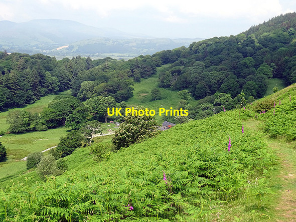 Photo 6"x4" Between Furnace and Glandyfi Eglwys Fach c2016