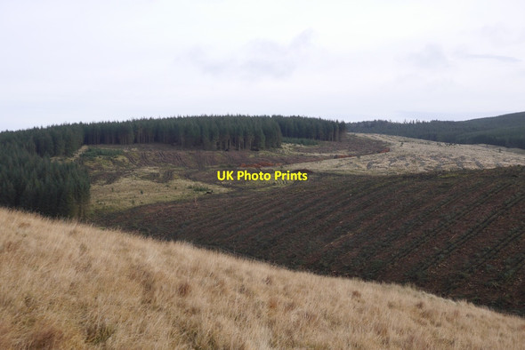 Photo 6"x4" Clear fell, Little Rig Glendevon\/NN9904 c2015