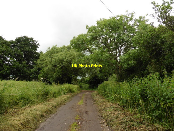 Photo 6"x4" Bushfurlong Road Isle Brewers c2016