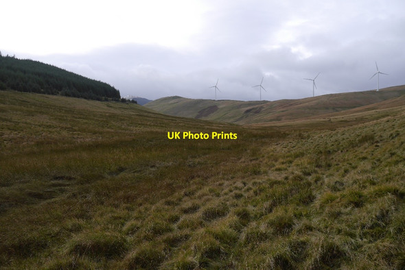 Photo 6"x4" Wetland, Creich Burn Glendevon\/NN9904 c2015