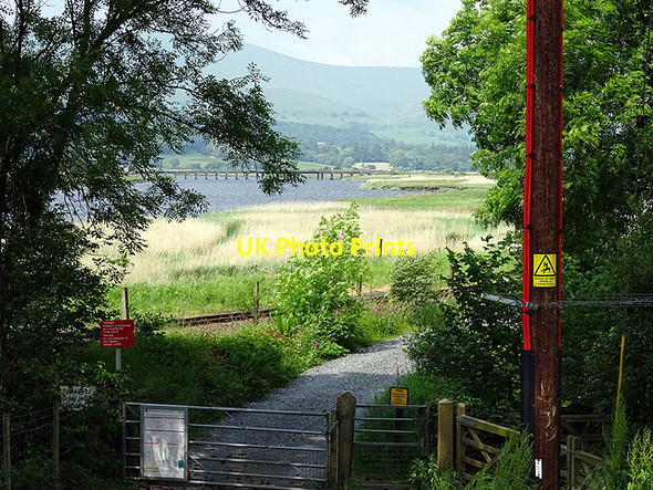 Photo 6"x4" Path to Dovey Junction Station Glandyfi c2016