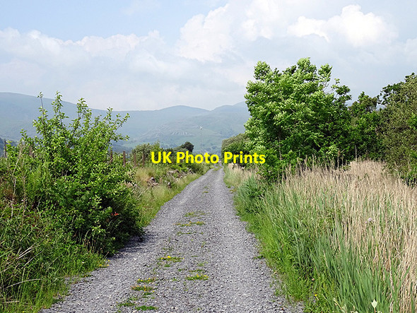 Photo 6"x4" Path out to Dovey Junction Station Glandyfi c2016